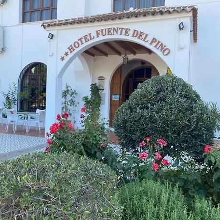Hotel Meson Fuente Del Pino 2*